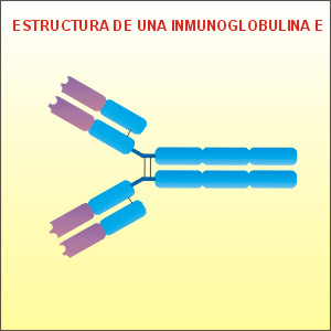 Ige baja inmunoglobulina muy